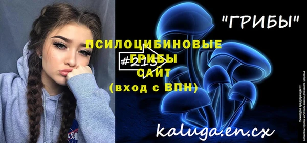 мяу мяу кристалл Майский