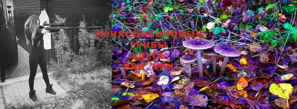 марки nbome Магадан